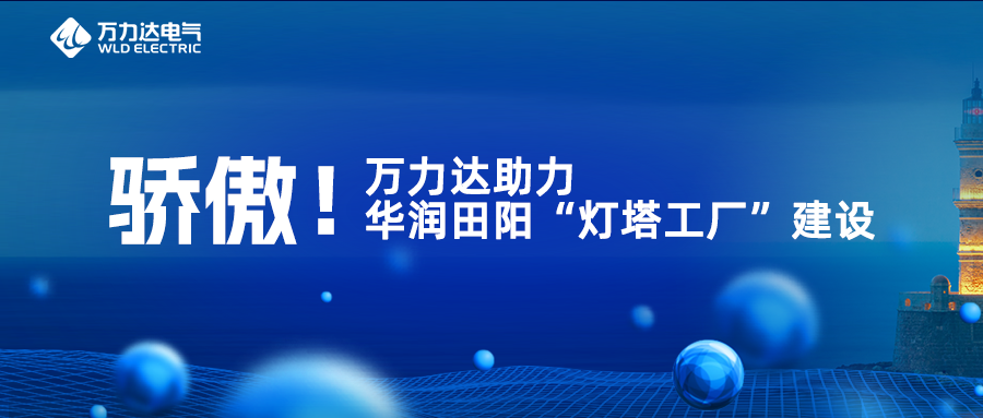 驕傲！萬(wàn)力達助力華潤田陽(yáng)“燈塔工廠(chǎng)”建設